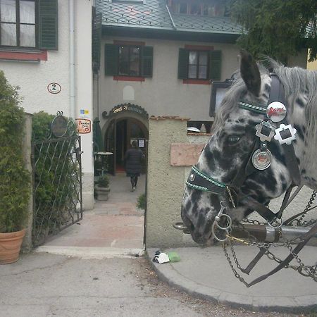 Haus Wartenberg Hotel Salzburgo Exterior foto